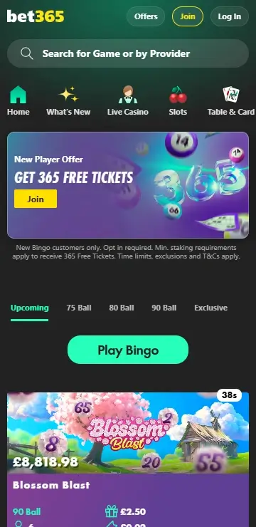 bet365 bingo