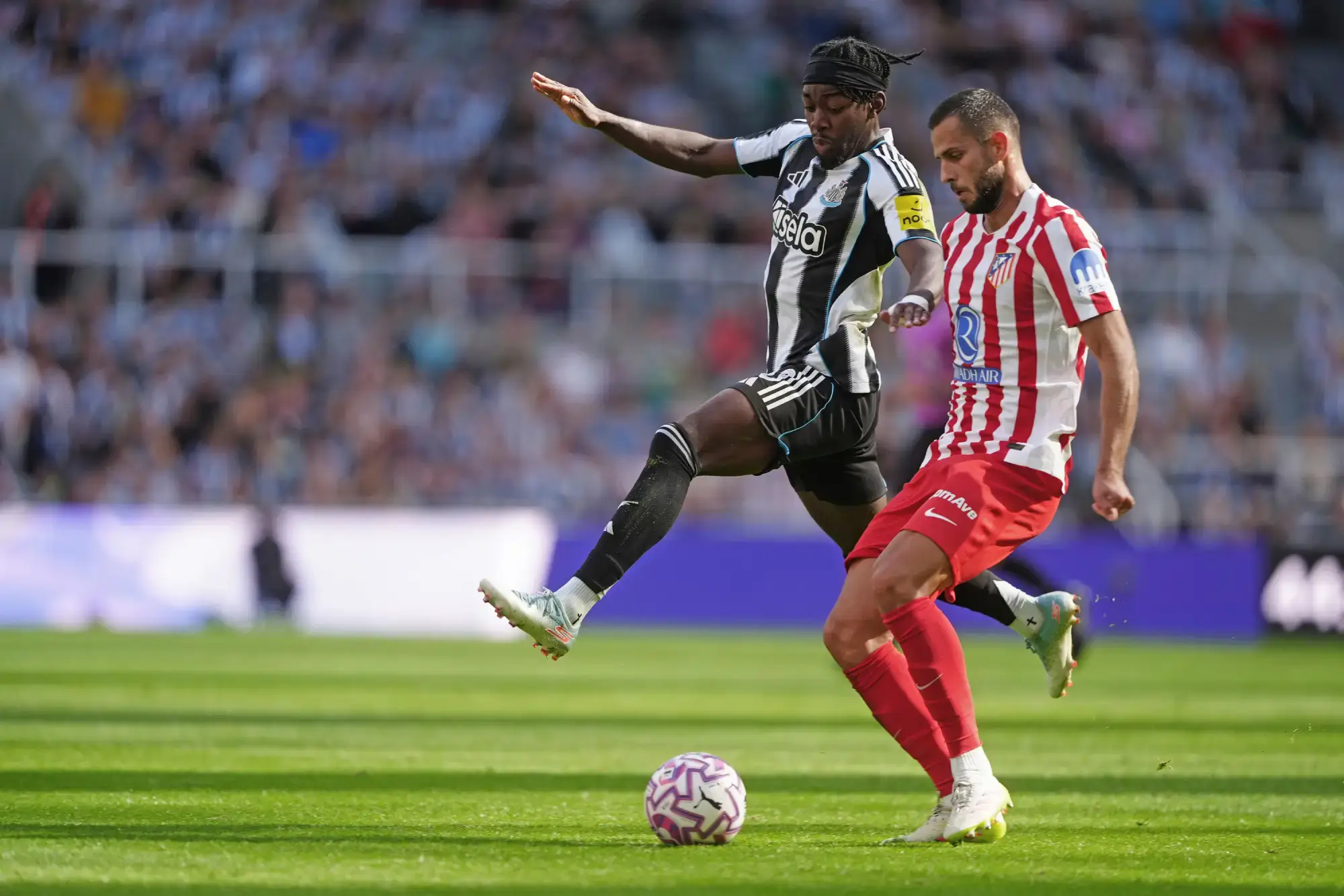 Anthony Elanga, Newcastle